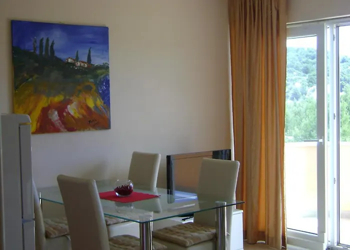 公寓 莎娜公寓 *